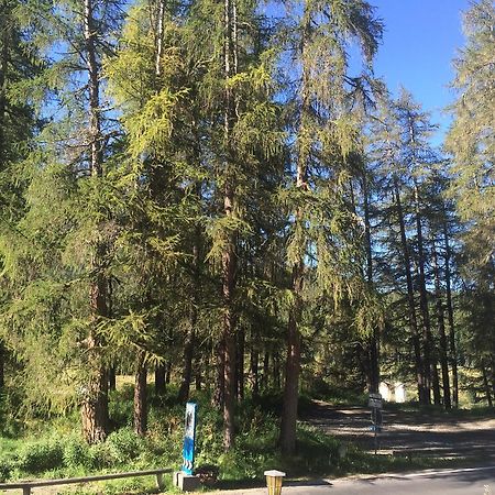Chesa Muragls Понтрезіна Екстер'єр фото